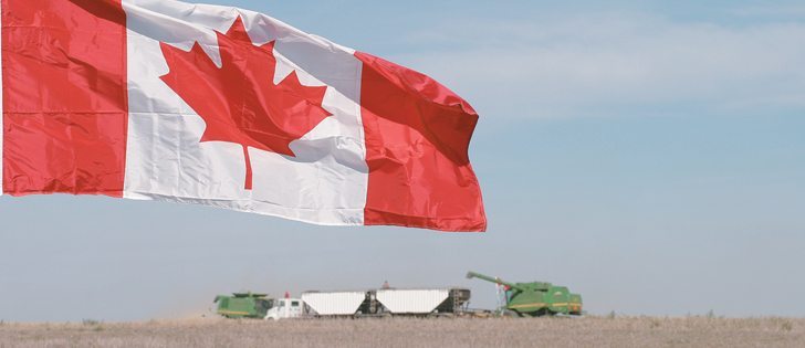 The maple leaf flag has been an official symbol of Canada since Feb. 15, 1965.  |  File photo