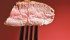 File photo (date last used March 20, 2014)
Piece of a grilled steak on a fork isolated on red