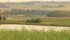 Watch Mike Raine host part one of The Western Producer's four episode series on fertilizer return on investment. | Robin Booker photo
