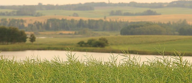 Watch Mike Raine host part one of The Western Producer's four episode series on fertilizer return on investment. | Robin Booker photo