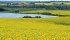 Watch Mike Raine host part two of The Western Producer's four episode series on fertilizer return on investment. | Robin Booker photo