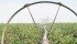 The author questions the proposal to encourage pension fund investment in Saskatchewan’s irrigation infrastructure as a way to expand the sector. | File photo