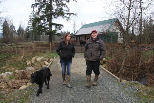 Aleta and Brad Chappell get help from their dogs in keeping their purebred Angus cattle safe from predators around Courtenay, B.C. |Karen Morrison photo