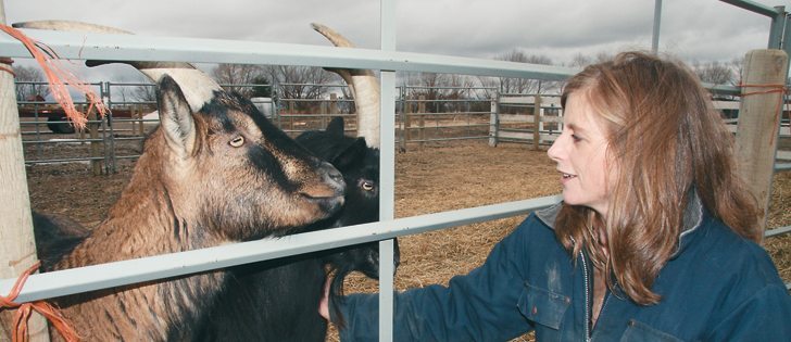 Nichole Neubauer welcomes tours to their farm to educate children about food production.  |  Barb Glen photo