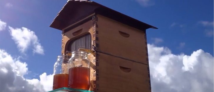 The Flow Hive is a patented split cell technology developed by Stuart and Cedar Anderson of New South Wales, Australia. The father and son apiarists said they have spent more than 10 years developing their flow frames with open honeycomb cells, which allows honey to flow through a pipe during harvest. | Youtube.com image
