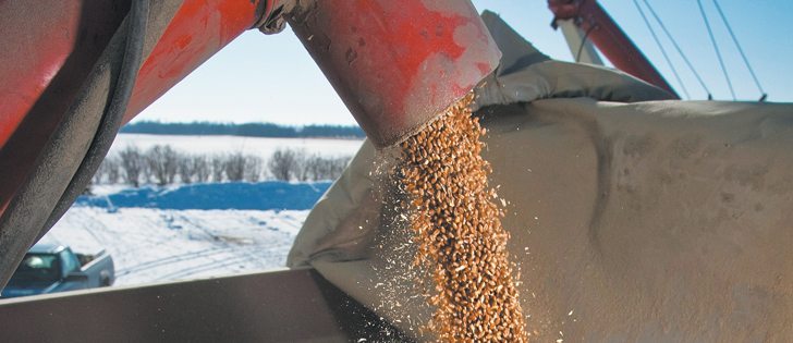 The White Paper on Research Innovation in Cereals said successful innovation requires support mechanisms once a project is approved and viewed Agriculture Canada as a stumbling block.  |  File photo