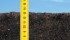 Expert says nutrients can vary within small areas and across fields, so take samples in spring and use multiple soil samples for best results. | File illustration