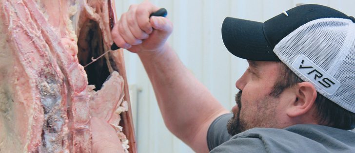 Gord Rumpel works on a side of beef at his abattoir near Craven, Sask.  |  Christalee Froese photo 