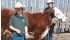 Tanner Heller-Ginter, back, and Calin Heller-Ginter show off their club’s 4-H Canada Science and Technology contest winning idea. The Abbey-Lancer 4-H Beef Club members will attach an ear tag to a magnet and use a bolus gun to get it into the cow. The magnet weight will keep it in the stomach where it will remain throughout the cow’s life. | Pam Heller photo