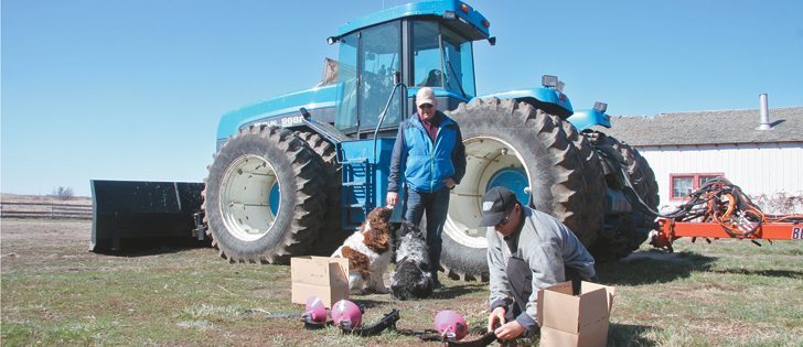 Vern, left, and Travis Schaab, above, are getting ready to seed in the earliest spring they have seen in five years. Tracey Schaab, bottom photo, is a cat fancier whose current breed includes these chamois smooth Sphynx.  |  Karen Morrison photo