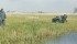 Aron Hershmiller, manager of the Assiniboine Watershed Stewardship Association, observes a wetland restored in 2009 after it had been ditched and drained. Farmers who want to restore wetlands might be able to obtain funding to help them plug ditches. | Jesse Nielsen photo