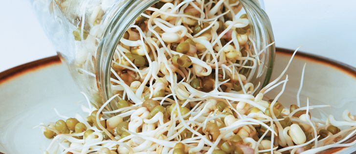 In 2014, mung bean sprouts caused 126 cases of salmonella in Germany and the Netherlands. | File photo