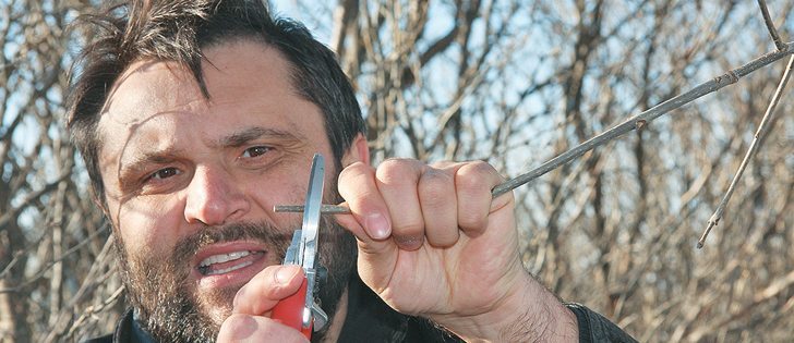 Woodlot specialist Toso Bozic of Alberta Agriculture discusses proper tree pruning technique during a shelter belt workshop in Nobleford, Alta., April 7.  |  Barb Glen photo