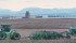 Early seeding usually results in maximum yields for most crops, but there are risks. | Mike sturk photo