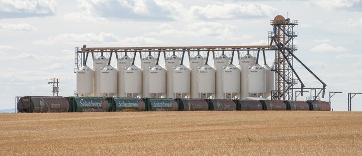 All WCRR loading facilities are similar. This one at Dinsmore, Sask., has 23 bins that can store a total of 3,000 tonnes. It has a 34-car rail spot, 30-metre truck scale and office building. It can receive or load out a maximum of 540 tonnes per hour.  |  WCRR photo