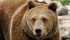 Southwestern Alberta rancher Tony Bruder says the film will help the public understand the conflict between stewardship and seeing livestock killed by grizzly bears and wolves. | File photo