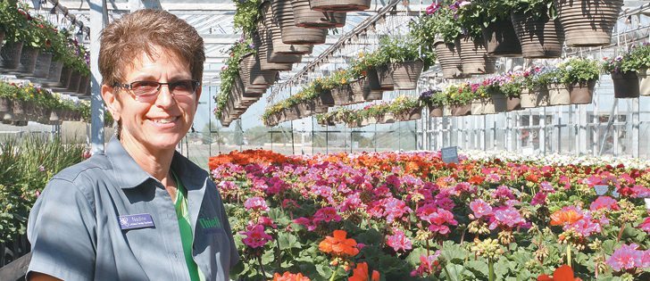 Nadine Stielow, owner of Thiel’s Greenhouse, has built the business into a go-to destination. The family grows 10,000 geraniums for sale to other greenhouses across Alberta. They also offer a variety of petunias, flowers and vegetables, balcony pots and small container plants. Stielow is learning how to control insects and pests without chemicals.  |  Mary MacArthur photo