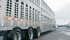 Only one percent of animals are injured during transport, but that is still millions of animals. | File photo