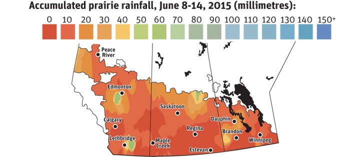 Rain: the fickle mistress
