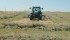 Herd expansion in Canada and the United States relies on good pastures and hay yields, and some areas in the U.S. are seeing the best conditions in decades. | Barb Glen photo
