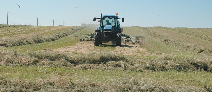 Herd expansion in Canada and the United States relies on good pastures and hay yields, and some areas in the U.S. are seeing the best conditions in decades.  |  Barb Glen photo