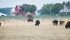 Prairie pastures are drying up but Texas saw floods recently. | File photo