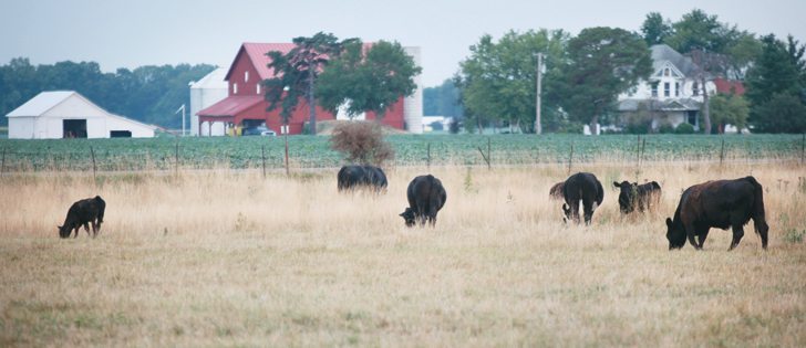 Prairie pastures are drying up but Texas saw floods recently.  |  File photo