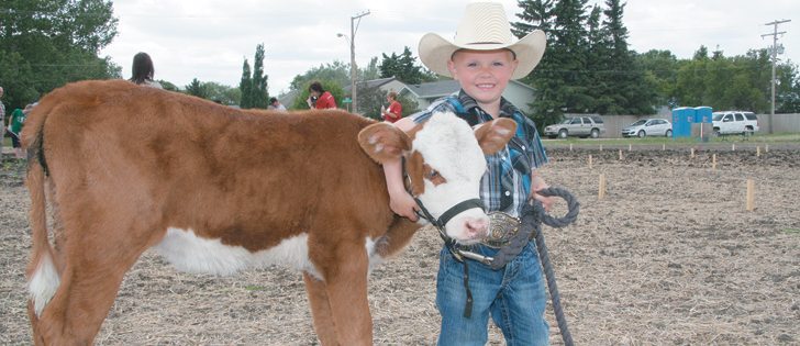 Three-year-old JD Olson bottle feeds his Hereford heifer Sue-ee at the family farm near Southey, Sask. He brought her to the Pense Pizza Farm planting day, to represent milk and cheese in the agriculture awareness project.  |  Karen Briere photo