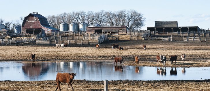 Saskatchewan agriculture minister Lyle Stewart says a premises ID database will help locate livestock during emergencies.  |  File photo