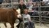 Hanna Chilson of Hardisty, Alta., leads her calf Bubbles around the show ring at the Flagstaff District 4-H Beef show in Killam, while Ryelee Lang, of Killam pushes the wheelchair. Chilson lead her calf around the ring first. Bubbles is not afraid of the chair, but the other 4-H calves may not be as tame.