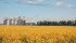 Cargill’s new crushing plant in Camrose is operating near capacity and plans to employ 60 permanent employees. | Cargill photo