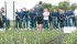 Monsanto is testing the viability of early maturing corn hybrids for Western Canada, including a site in Oakville, Man. The company hopes to commercialize early varieties and dramatically increase corn acres on the Prairies to eight million by 2025. | Robert Arnason photo