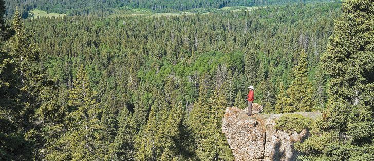  Looking over Battle Creek Valley from the Hidden Conglomerate Cliffs, Cypress Hills, Sask. | Arlene & Robin Karpan photo
