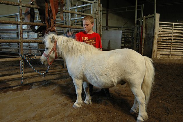 David Mosby Jr. brushes his pony during a Horse Spirit class. | Barb Glen photo