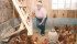Rhonda Martin checks on her laying hens at Spring Valley Food Farms. | Karen Morrison photo