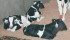 A study has found that dairy cows prefer to find a secluded location before giving birth. | File photo