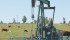 The energy industry takes steps to protect the environment, but do they really work? University of Alberta researchers are finding out. | File photo