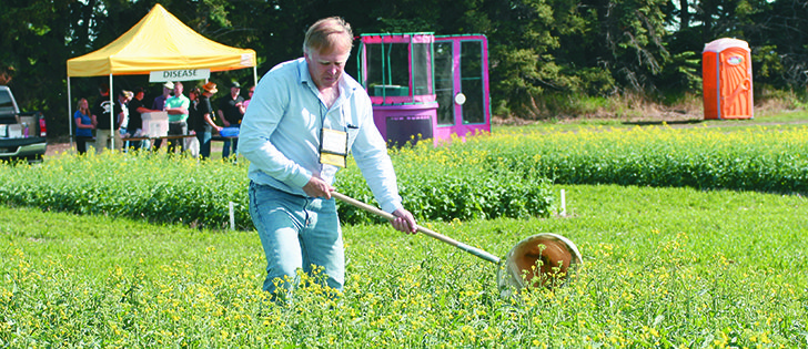 Alberta Agriculture insect specialist Scott Meers demonstrates sweeping a canola field to determine which insects are present. The number captured helps a farmer decide if it is worth spraying fields with insecticides.  |  File photo