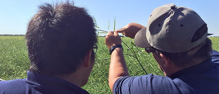 Follow The Western Producer's live blog on #CWBtour15 to see how Canadian crops are doing so far this summer. 