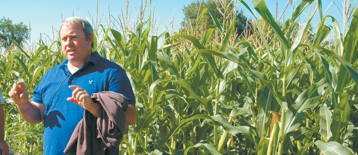 Alberta Agriculture crop pathologist Michael Harding describes the risks that corn presents in the spread of fusarium to cereal crops. He spoke at the Farming Smarter disease crop walk on July 30 near Lethbridge. | Barb Glen photo