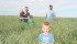 The Pizzey family in their oat crop: from left to right: Kip, 1, Kaelyn, Harlan, 6, Jed, 4, and Jeff Pizzey. They farm and process grain with Jeff’s parents, Glenn and Linda Pizzey. | Karen Morrison photo