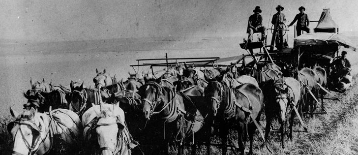 It used to take a lot of horse power to get work done on the farm.  |  File photo