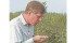 Rick Gelowitz checks the quality of the saskatoons at his farm in central Alberta. Solstice Berry Farm has been a commercial operation for seven years. | Barbara Duckworth photo
