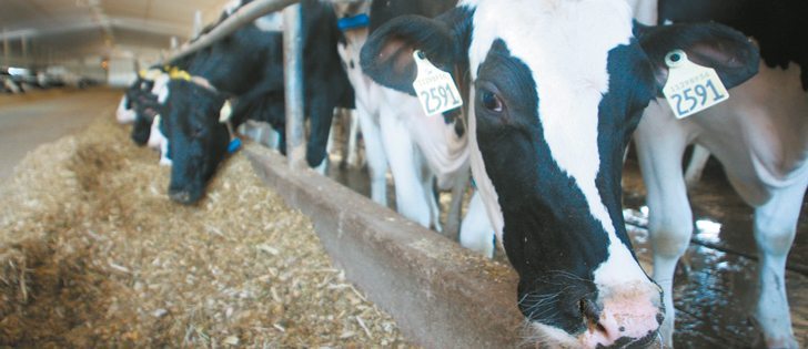 Dairy producers and processors are dealing with new consumer trends, which is changing the types of products placed on store shelves.  |  File photo
