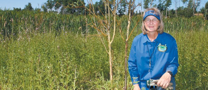 Tess Davidson of Cecil Lake, B.C., is happy to teach her sheep to eat weeds, including thistles.  |  Mary MacArthur photo