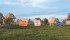 Experts predict rural voters will remain loyal to the Conservative party this election. | William DeKay photo illustration