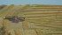 Even with satellite maps and a farmer survey, Statistics Canada estimates have low-balled the crop by more than a million tonnes. | File photo