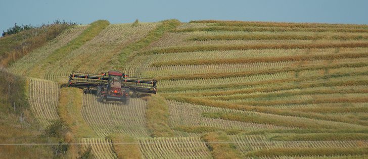 Even with satellite maps and a farmer survey, Statistics Canada estimates have low-balled the crop by more than a million tonnes.  |  File photo
