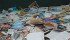 Library material was recently thrown out at Agriculture Canada’s Lethbridge Research Centre. | Professional Institute of the Public Service of Canada photo