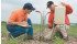 University of Minnesota researcher Fabian Fernandez, left, has compared strip till to no till and concluded that strip-till is better. | University of Minnesota photo